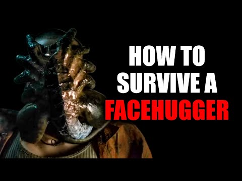 How to Survive a Facehugger (Alien) – Secrets and Strategies to Stay Alive