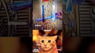Cat Meme 💀 #cat #memes #funk #catbombastic