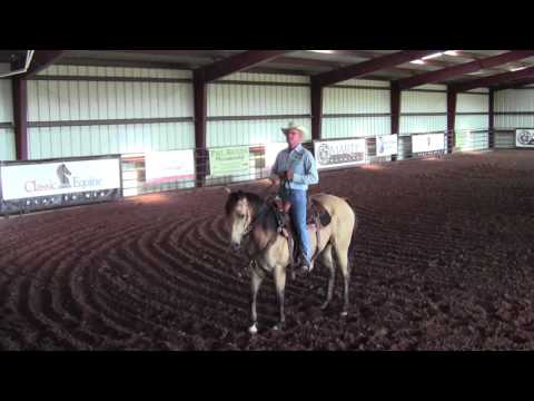 Training Tip Tuesday- Controlling Your Horse's Ribcage