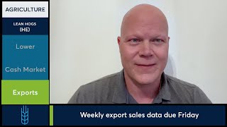 Lean Hog futures trade $8-$9 discount to cash index. 11/14/24