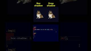 Box shadow vs Drop shadow Quick Tutorial  #coding #learnhtml5andcss3 #javascriptcode