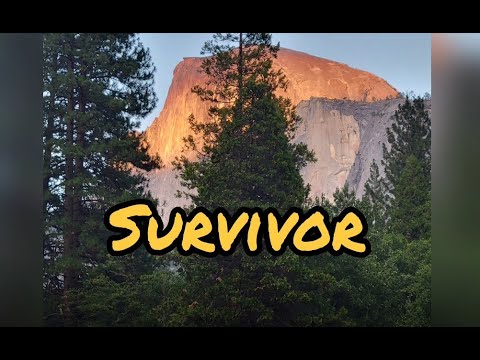 Totally Legit Survivor