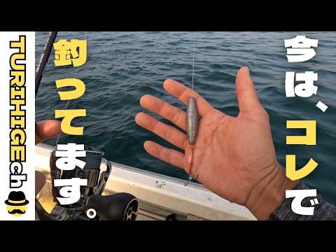イサキはダメでも真鯛なら釣れる　オモックで鯛
