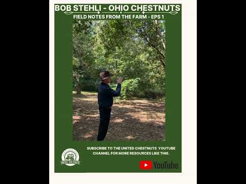 Field Notes From The Farm: Bob Stehli - Ohio Chestnuts -Eps 1 #chestnuts #unitedchestnuts #bobstehli