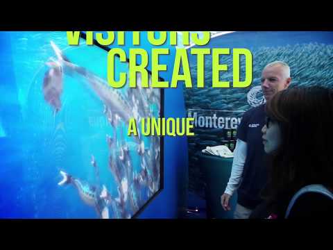 MONTEREY BAY AQUARIUM - BAIT BALL BALLET | Event Marketing & Tradeshow Attractions