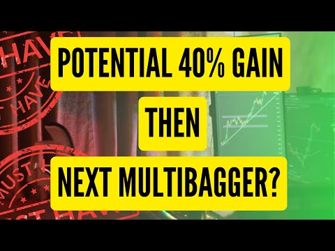 NEXT MULTIBAGGER??? | MUST BUY??