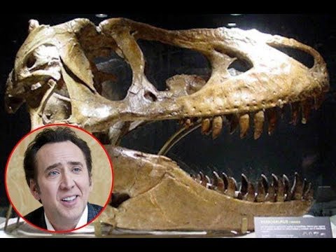10 Insane Celebrity Purchases