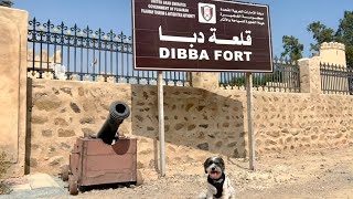 Video 204 - Dibba Fort