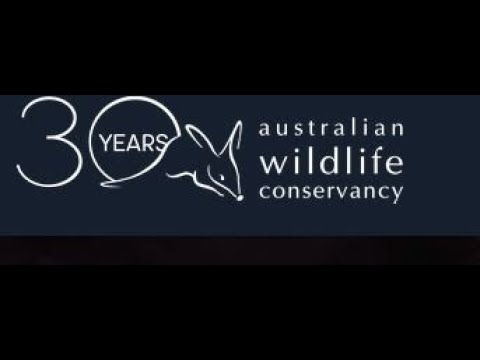 OFFS Talk: Joey Clarke on Australian Wildlife Conservancy