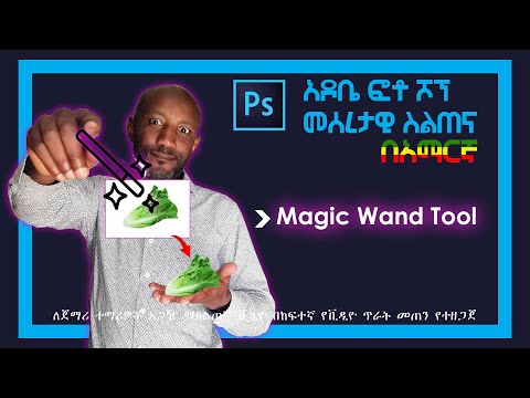 Magic Wand Tool