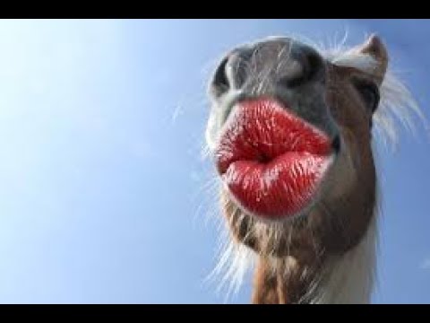 "Epic Prank Gone Hilariously Wrong | Must-Watch Funny Moments 2025"