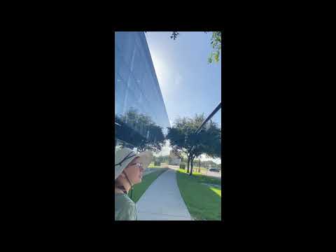 FIU Ecology Lab: Virtual Bird RAP - Sample 3