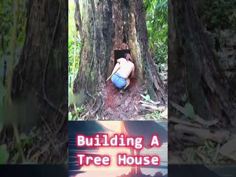 Building A Tree House  #treehouse #building #build #camping #camp #bushcraft #shelter #survival