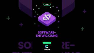 Softwareentwicklung @ codenius