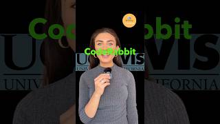 Revolutionizing Code Review with AI-Powered CodeRabbit