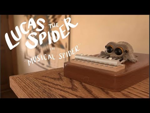 Lucas the Spider   Musical Spider want to be a singer