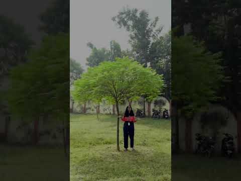 Finding Solace and Wonder in the Nature🌿|Peace|#shorts #banking #ibps #sbipo #rrb