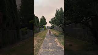 Watch him ride like the wind! #toddler #toddlerlearning #bikingmode #enjoyingweather