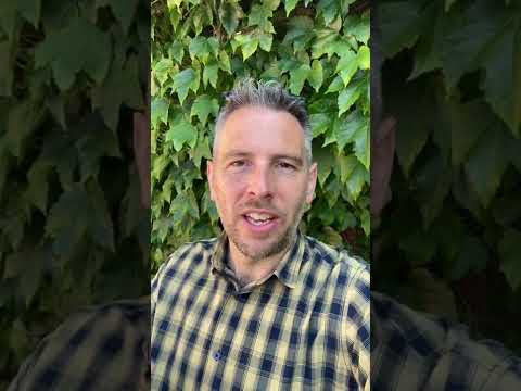 The ONE meaningful way to measure business growth #ukbusinesstips Music: SunnyMusician: @iksonmusic