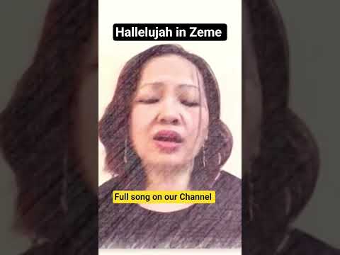 #coversong #myspace #zeme #hallelujah #music