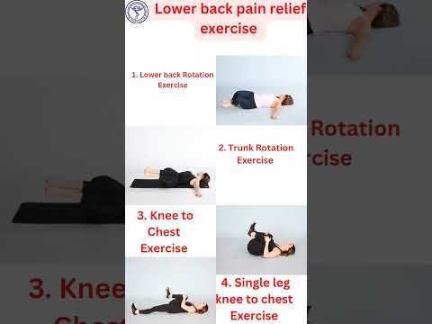 4 Effective Exercises for Lower Back Pain Relief (Part 2) - Strengthen Your Back and Reduce Pain"