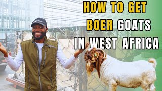 HOW SEMANHYIA FARMS INTRODUCED THE LARGEST CONSIGNMENT OF EXOTIC GOATS AND SHEEP INTO WEST AFRICA