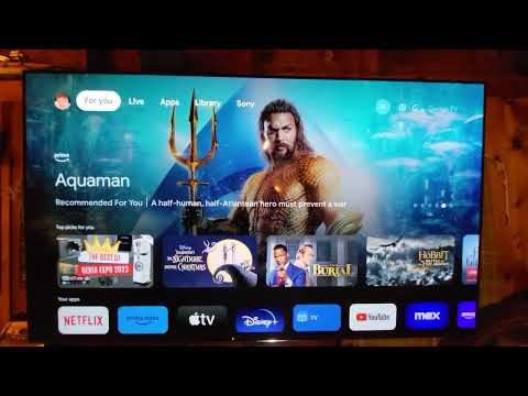 How to Enable Google Assistant on Sony TV (A80L OLED)