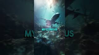 The Mystery Unveiled: Decoding the Bermuda Triangle Enigma" #shorts #history #viral