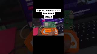 Flipper Zero and Wi-fi Dev board | Flipper Zero | Craw Security
