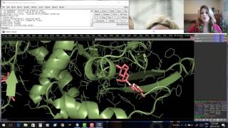 Pymol for Beginners - video 4: H-bonds