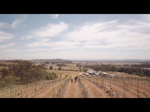 Business Marketing Video Series Highlights: Top Tips from Industry Experts