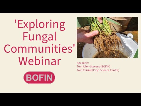 Soil Squad - Exploring Fungal Communities Webinar