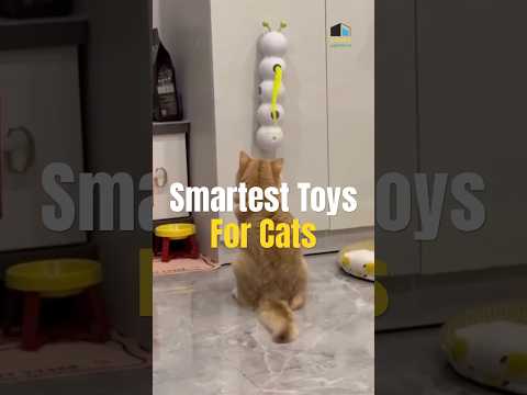 Smart Motion Cat Toy with Worm Design | Interactive Wall-Mount Cat Toy for Indoor Cats #shorts