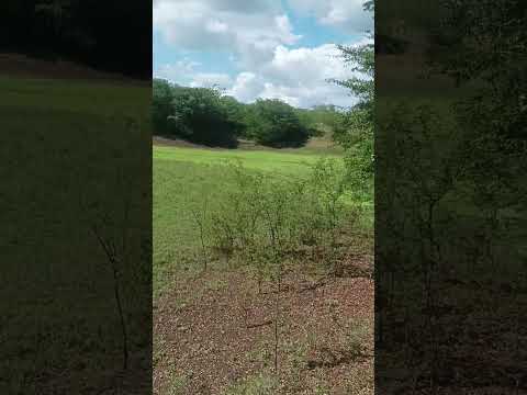 Guerra's Countryside #nature #naturelovers