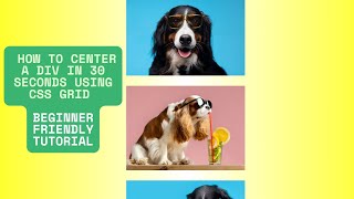 How to Center a Div in 30 Seconds Using CSS Grid | Beginner Friendly Tutorial