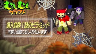 【マイクラ】危険なピラミッドの中にはむしだらけ！ #2【むしむしクラフト】