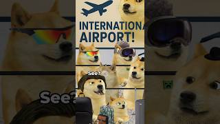 lil doge goes to the airport