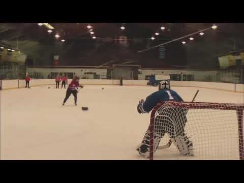 The hardest shot ever