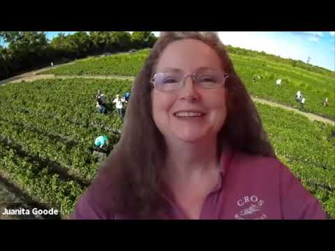 6 Leaders explain how their non-profit organizations serve the needs of Palm Beach county residents