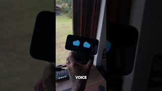 This isn’t just a robot… it’s your new AI best friend #aicompanion #aiin2025 #chatgptrobot #cooltech