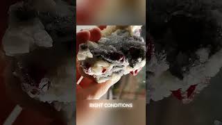 How to find Raw Rubies in Nature  #gemstone #ruby