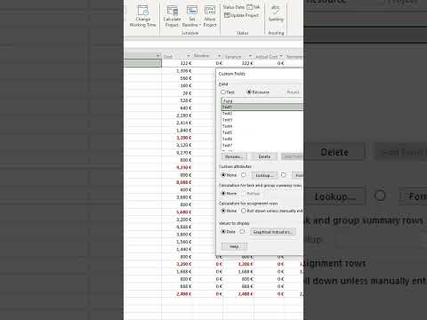 How to create a custom column with resource costs in another currency in MS Project Pro?  #msproject