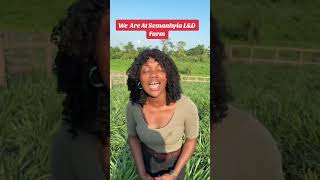 A Day at The New Semanhyia L&D Farm