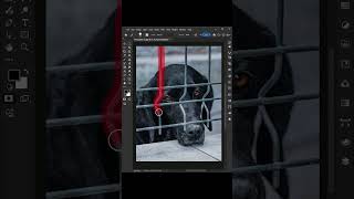 Photoshop tutorial #designer #photoshop #tutorial #graphicdesign #artist #art