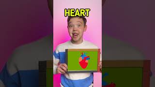 ✨ FUN Organs Learning With DINOSAUR BODY 🦖 #kids #learn