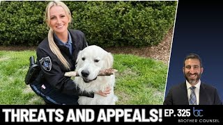 Kelsey Fitzsimmons Emergency Appeal! Trial Lawyer Breaks it Down!