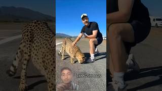 *“Mr. Beast vs Cheetah: Epic Foot Race Challenge”* (YouTube Short)  green screen 🟢 #shorts #mrbeast