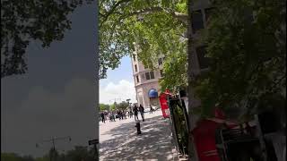 Wait Until You See What This Graffiti REALLY Means... 🤯 #bitcoinart #cryptoart #streetart #mural