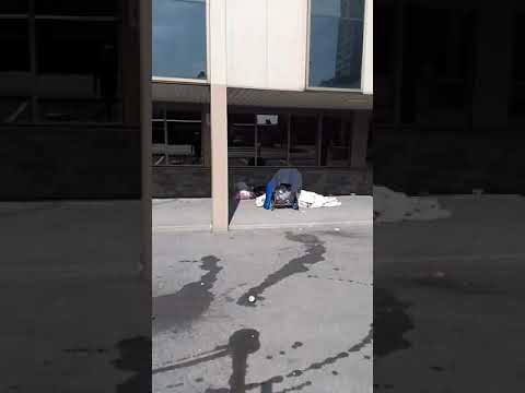 Homeless in Hamilton the shameless city