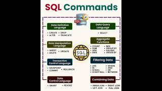 SQL Commands #shorts #shortsvideo #sql #software #technology #database #developer #developertips